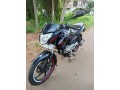 pulsar-135-ls-small-1