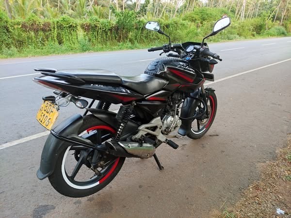 pulsar-135-ls-big-2