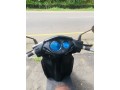 honda-dio-small-4