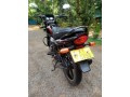 platina-125-small-1