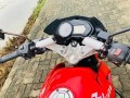 bajaj-pulsar-135-2011-small-4