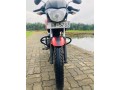 bajaj-pulsar-135-2011-small-0