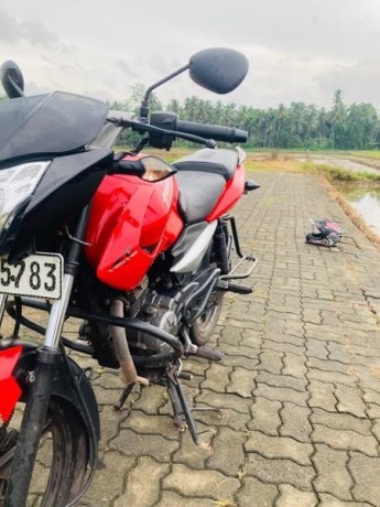 bajaj-pulsar-135-2011-big-2