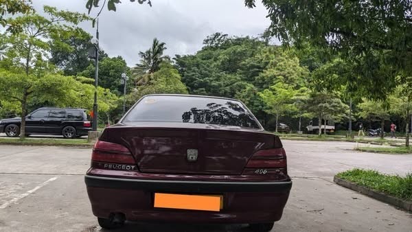 peugeot-406-big-2