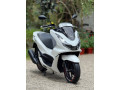 honda-pcx-small-5