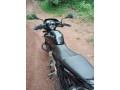 bajaj-pulsar-135-2014-small-3