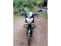 bajaj-pulsar-135-2014-small-2