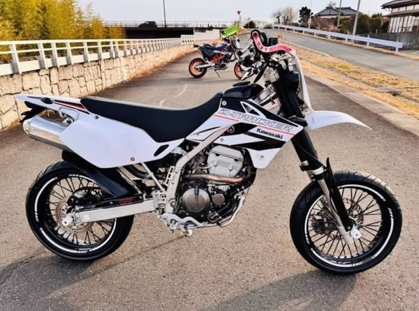 kawasaki-d-tracker-250-d2-big-3