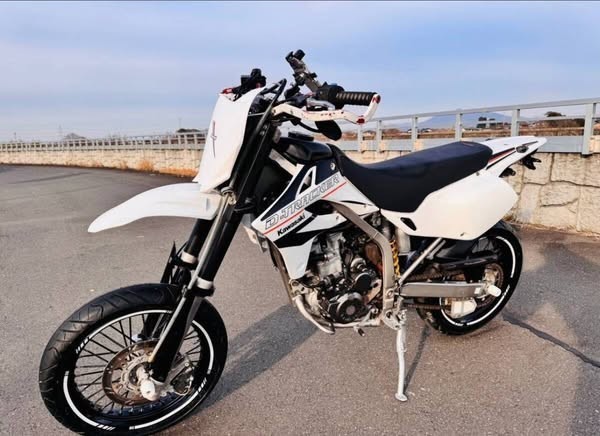kawasaki-d-tracker-250-d2-big-4