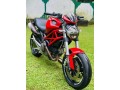 ducati-monster-2013-small-0