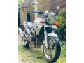 yamaha-zeal-250-small-0
