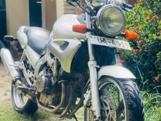 yamaha-zeal-250