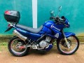 kawasaki-kle-small-1