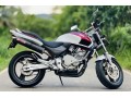 honda-hornet-250-small-3