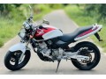 honda-hornet-250-small-2
