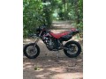 genuine-registered-d-tracker-250-bje-small-4