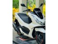 honda-pcx-for-sale-small-0