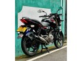pulser-150-small-0