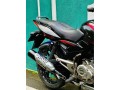 pulser-150-small-1
