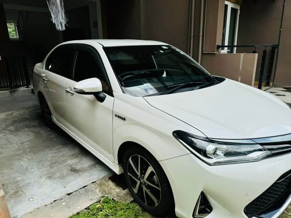 axio-wxb-for-sale-big-0