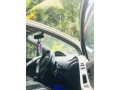 vitz-small-2