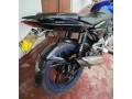 bajaj-pulsar-135-small-1