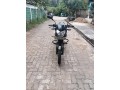 pulser-135-small-0