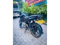 pulsar-135-small-3