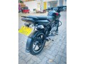 pulsar-135-small-1