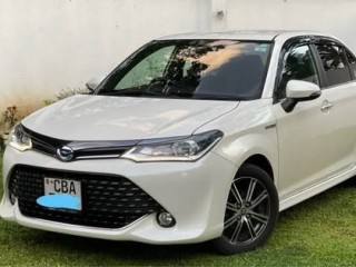 toyota-axio-wxb