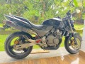 honda-hornet-250cc-small-2