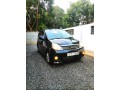 perodva-viva-elite-2012-small-1