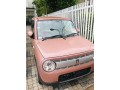 suzuki-lapin-unregistered-small-1