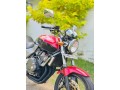 honda-hornet-250-ch115-small-3