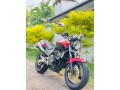 honda-hornet-250-ch115-small-2