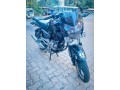 pulsar-135-small-0