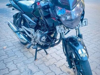 pulsar-135