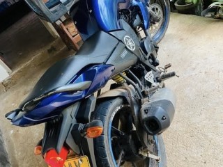 fz-v1