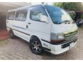 dolphin-auto-small-3