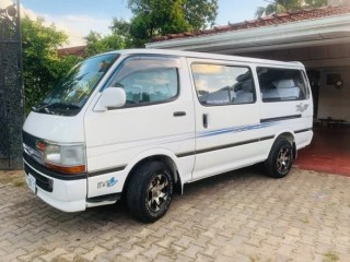 dolphin-auto