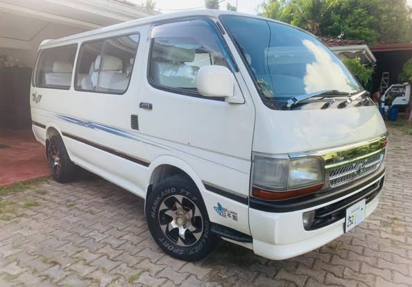 dolphin-auto-big-3