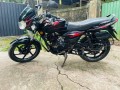bajaj-discover-135-disc-brake-black-decal-red-for-sale-small-4