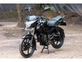 pulsar-135-small-7