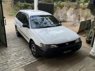 toyota-corolla-elephant-back