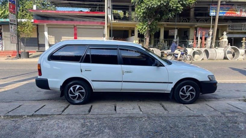 toyota-corolla-elephant-back-big-3