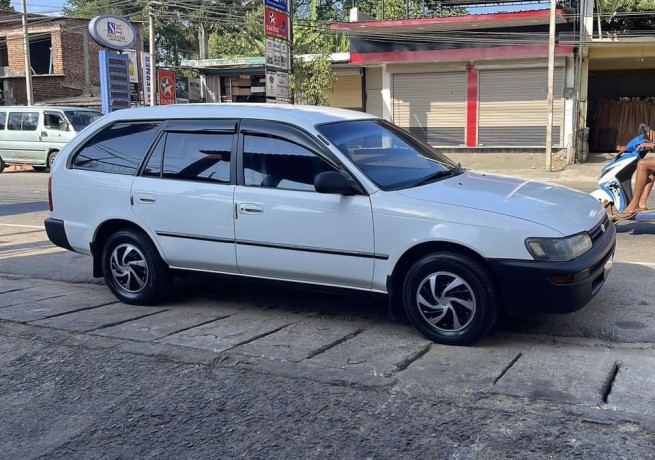 toyota-corolla-elephant-back-big-2