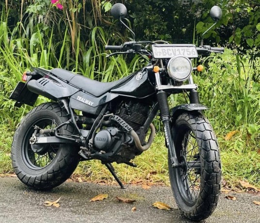 yamaha-tw-200-2015-big-2