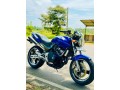 honda-hornet-ch125-2012-small-5