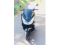 honda-pcx-2017-small-5