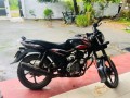 bajaj-discover-100-2010-small-2